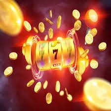 wild bet 6z wild bet 6z
