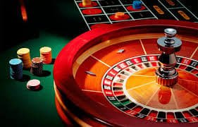 wild bet 6z wild bet 6z
