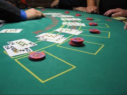 wild bet 6z